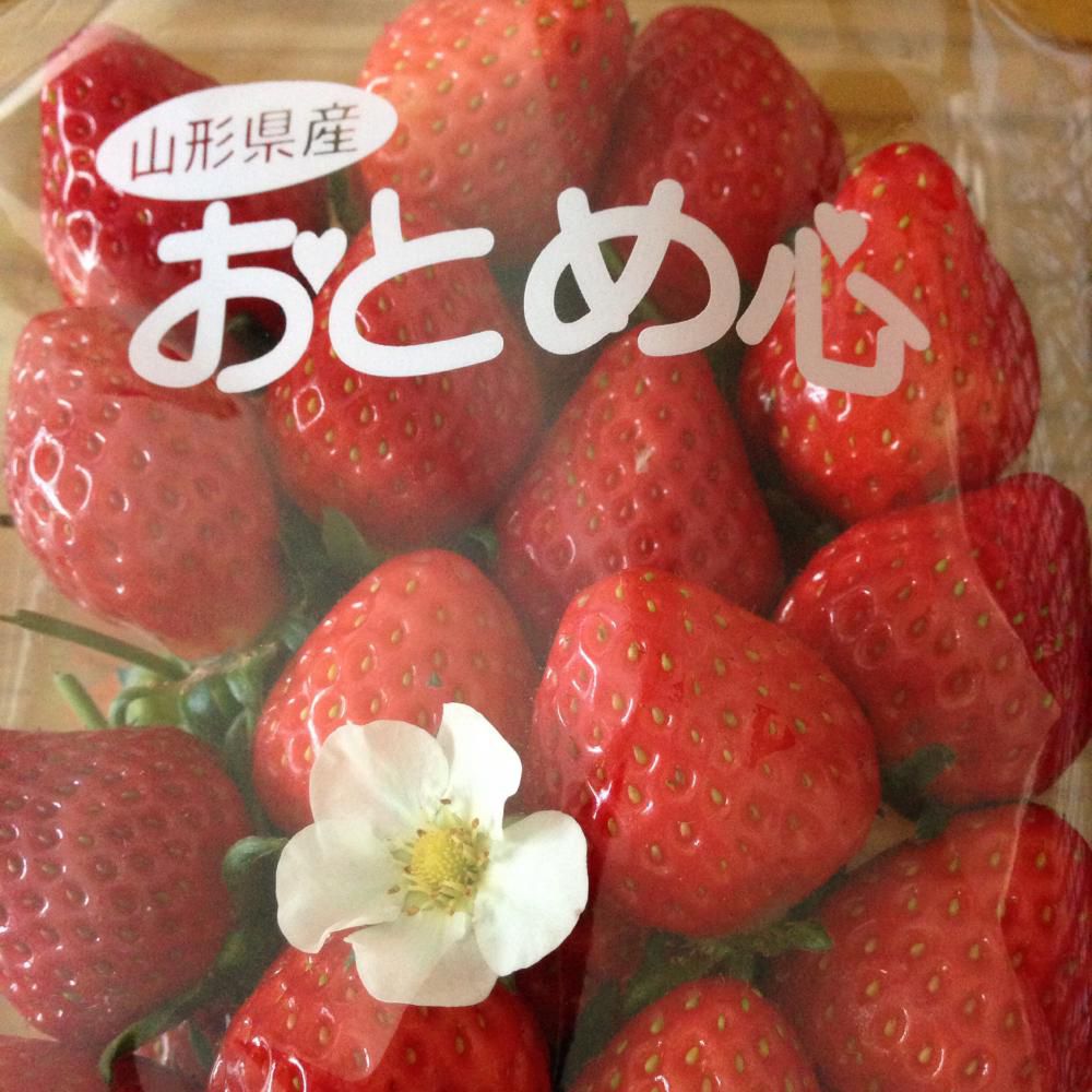 旬のおとめ心