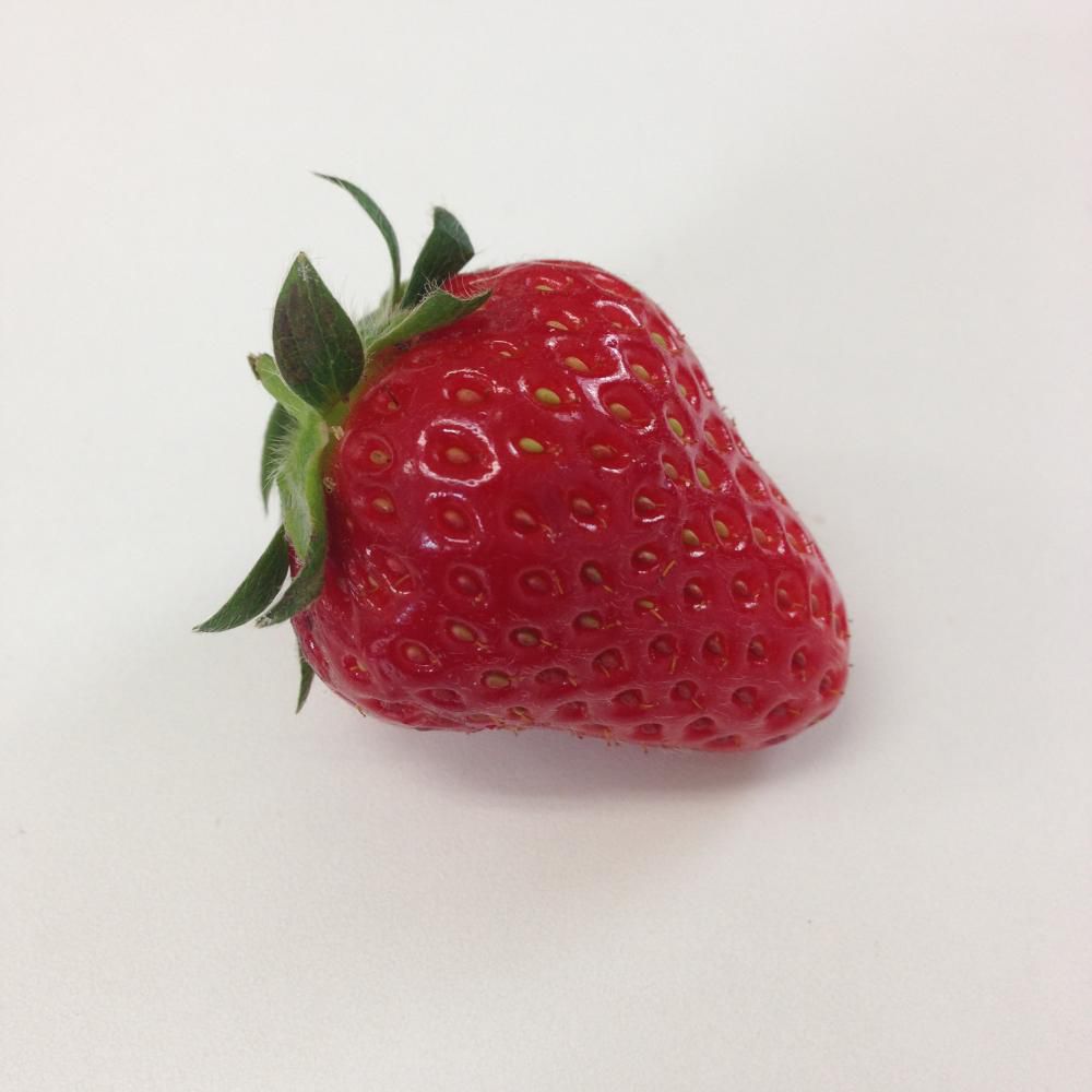 やっぱり気になるおとめ心