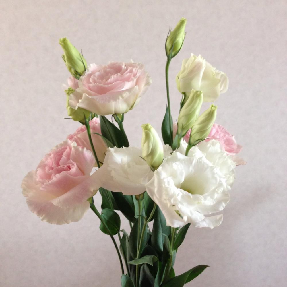 山形県産の花