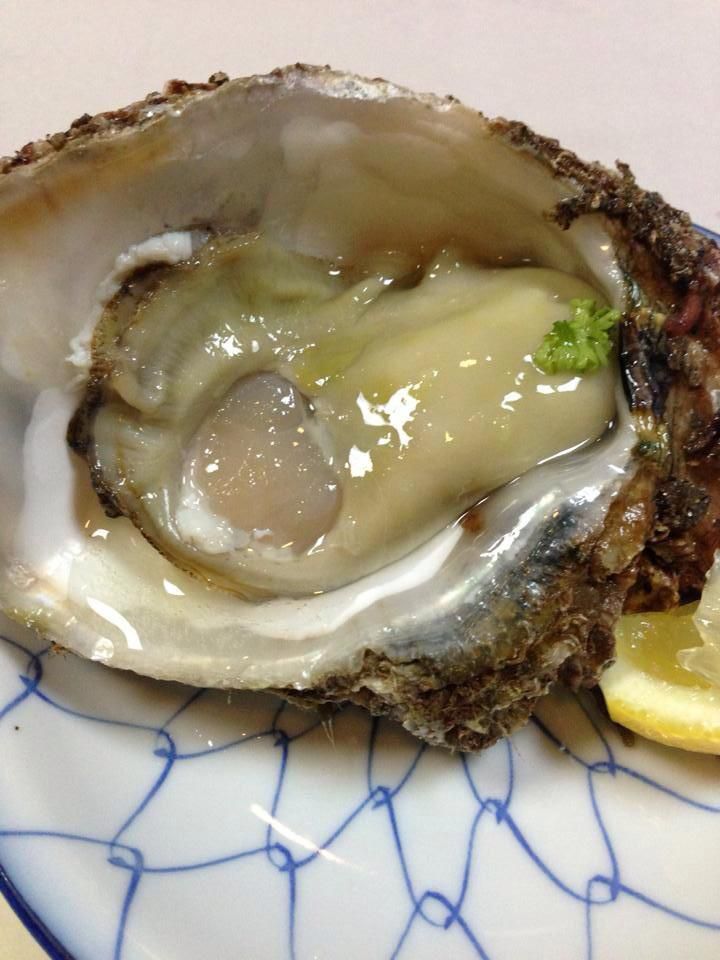 本日海開き