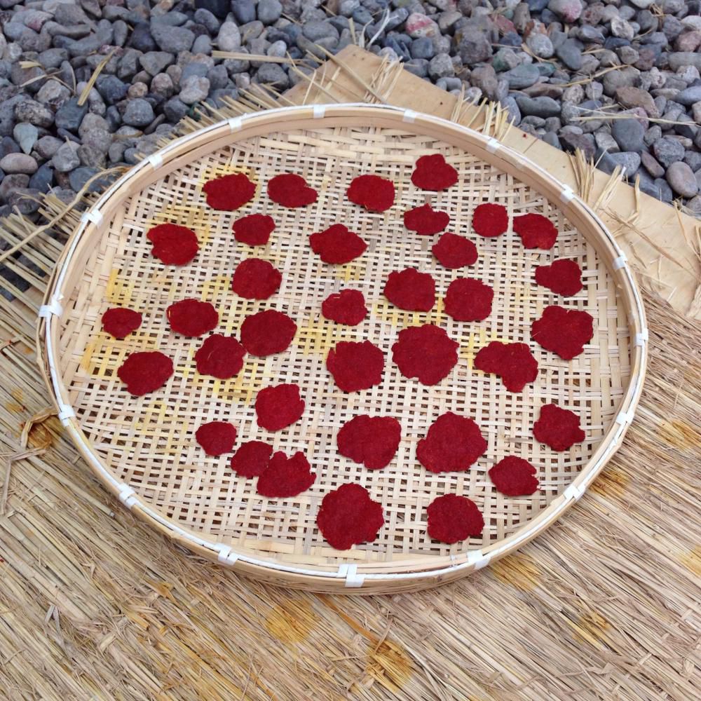 自由研究（紅花栽培と紅花染め）