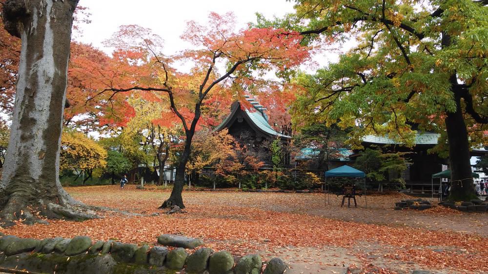 鎮守の森で宝さがし　～　六椹八幡宮　～