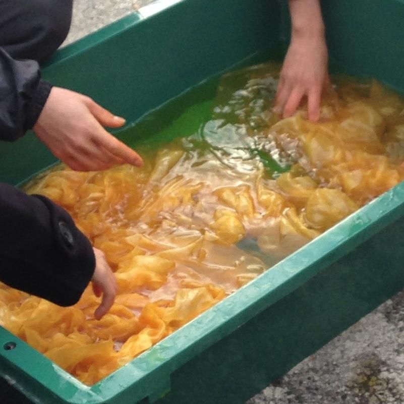寒中紅花染め