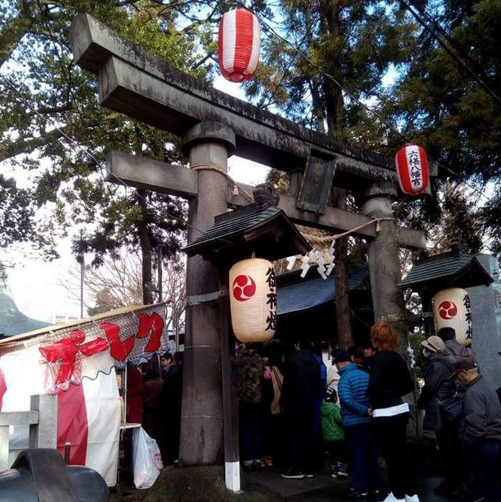 ポカポカの新年