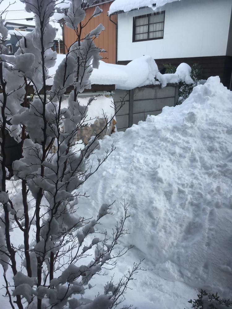雪！雪！雪！