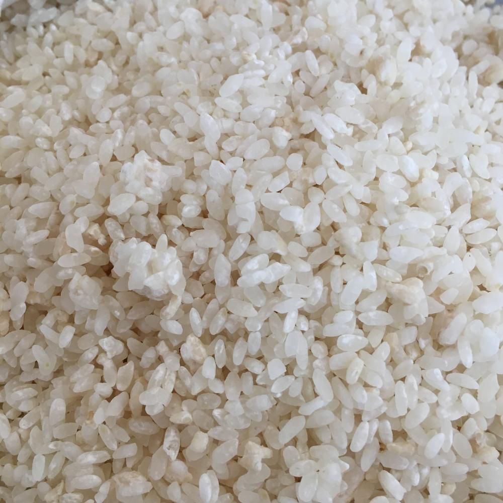 学級閉鎖中の麹作り