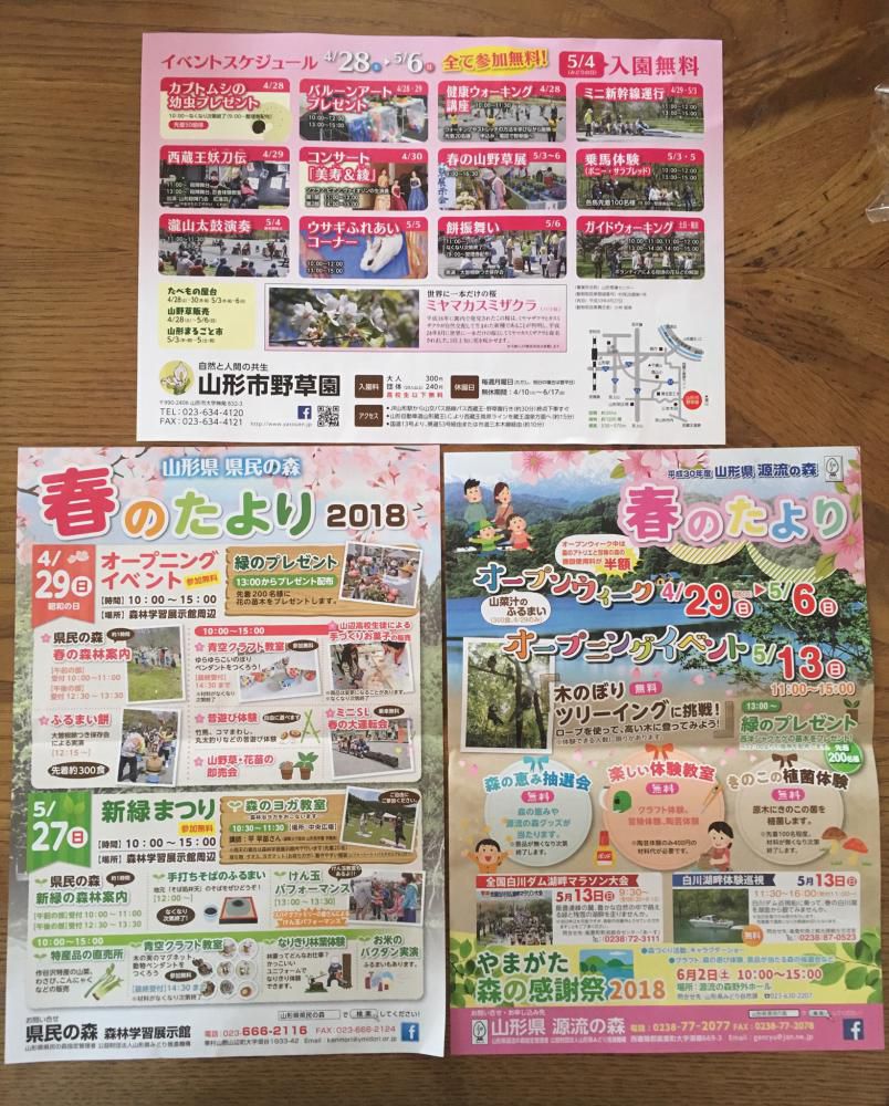 公園の春