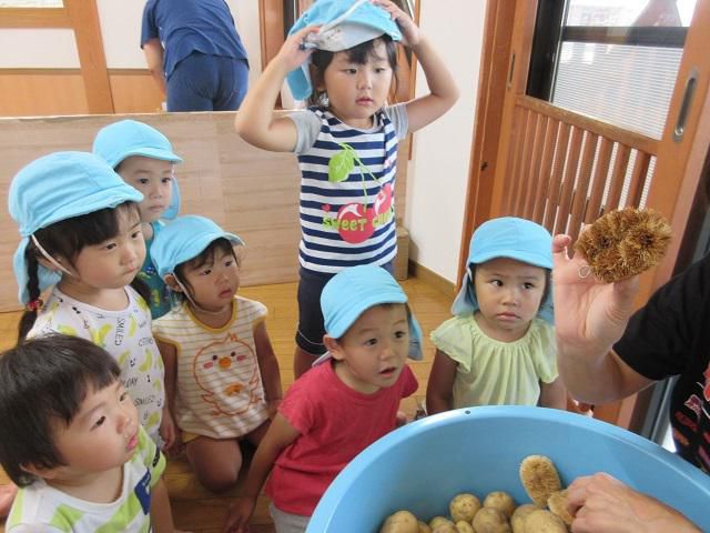 たくさん収穫したよ　～じゃがいも～