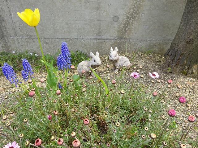 春のプチハウス