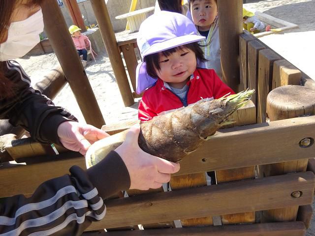 タケノコの皮を剥きました
