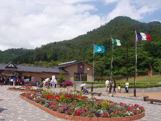 東沢バラ公園ローズヒップの苗