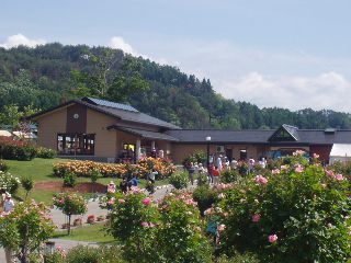 東沢バラ公園秋バラ開園中(9月～)