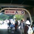 山形県村山市東沢バラ公園今年もオープン