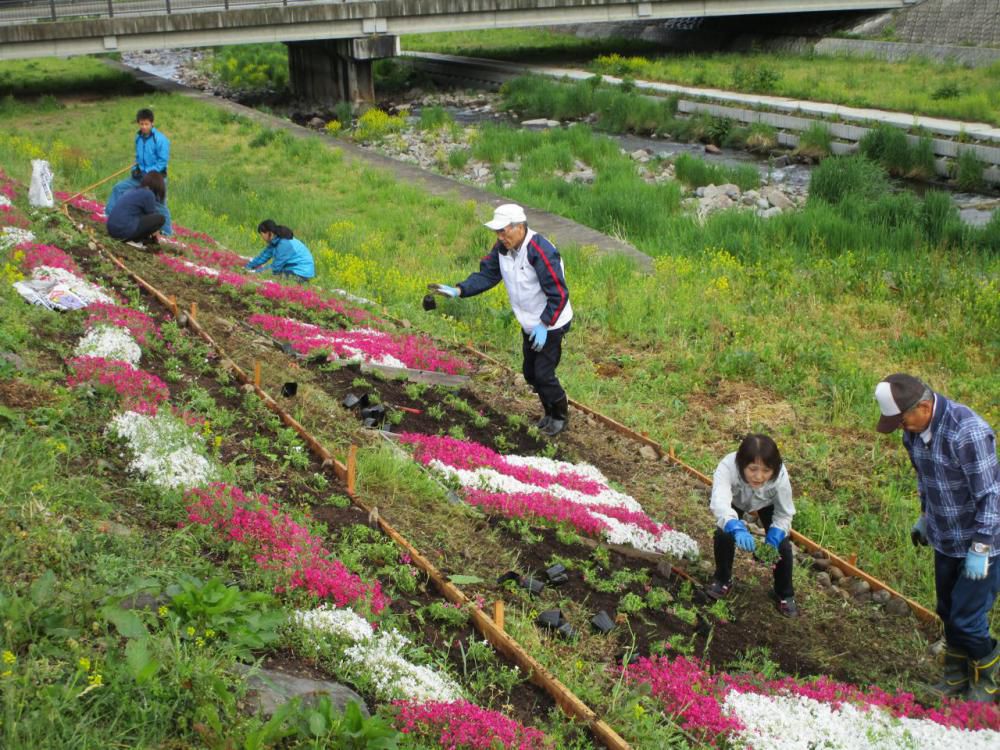 今年の植栽作業情報