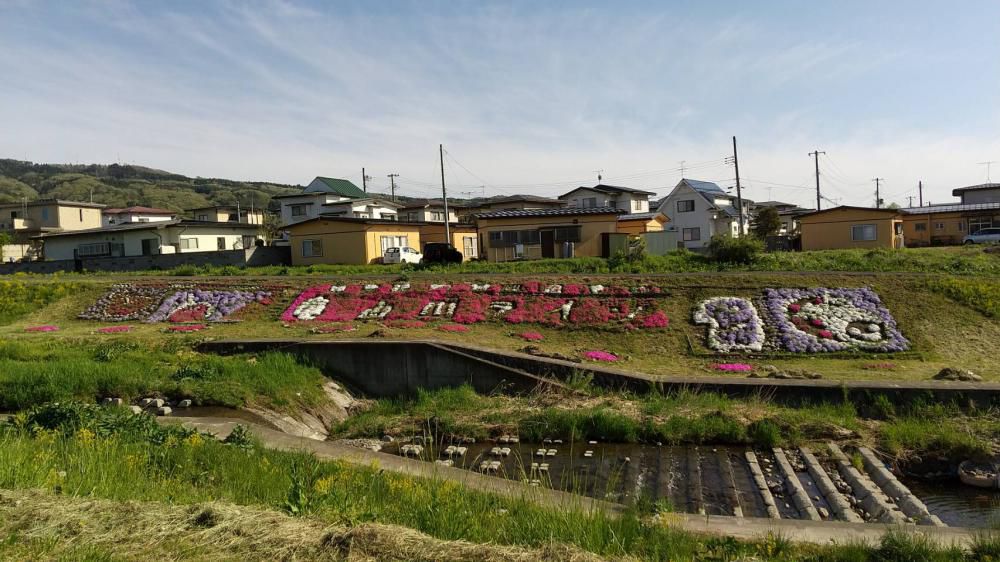 竜山川の「土手アート」今が見頃です！