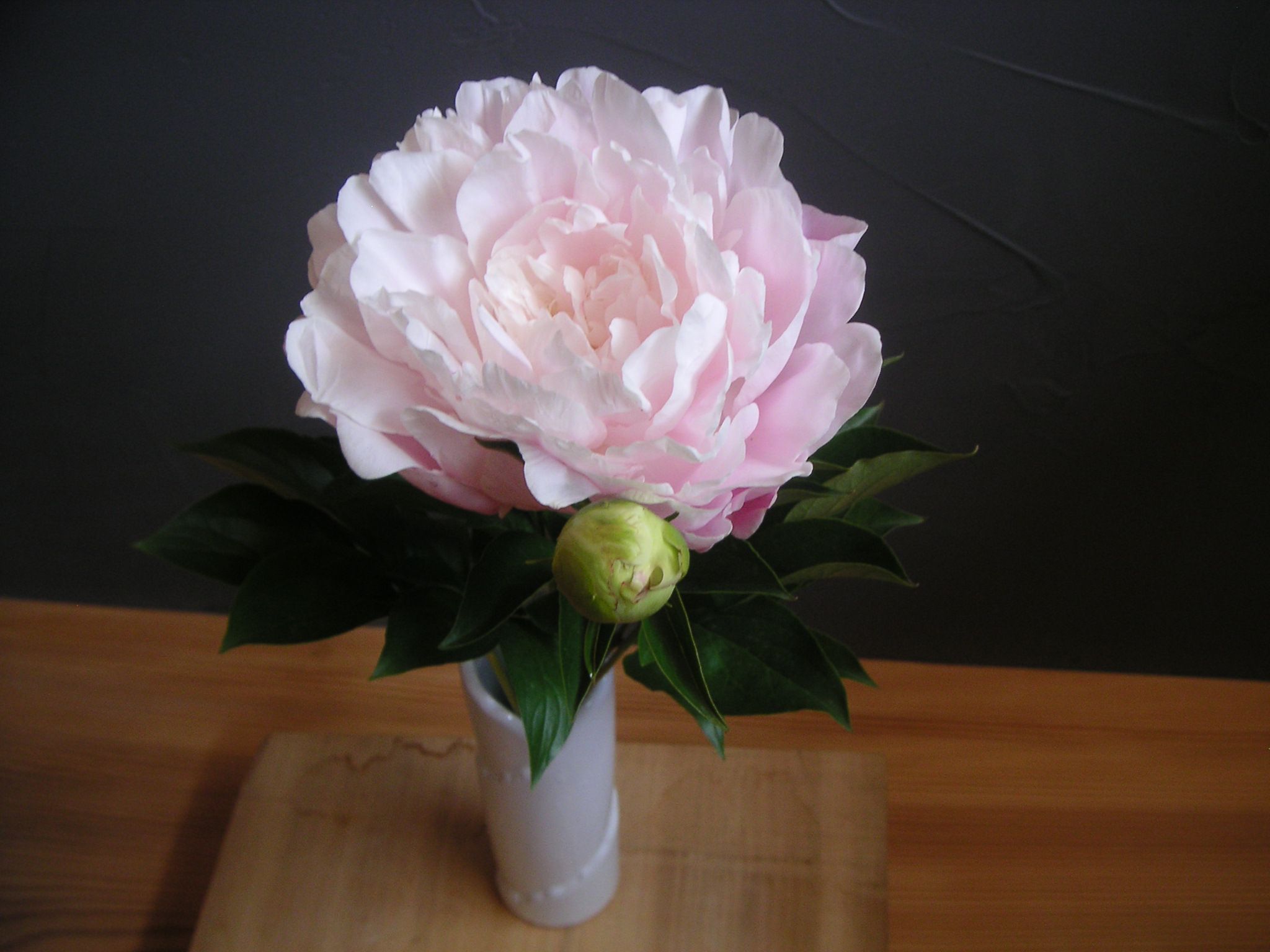 立てば芍薬、座れば…