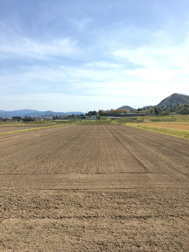 耕運始まってます