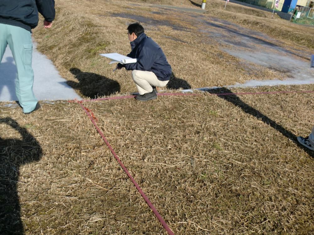地縄確認。