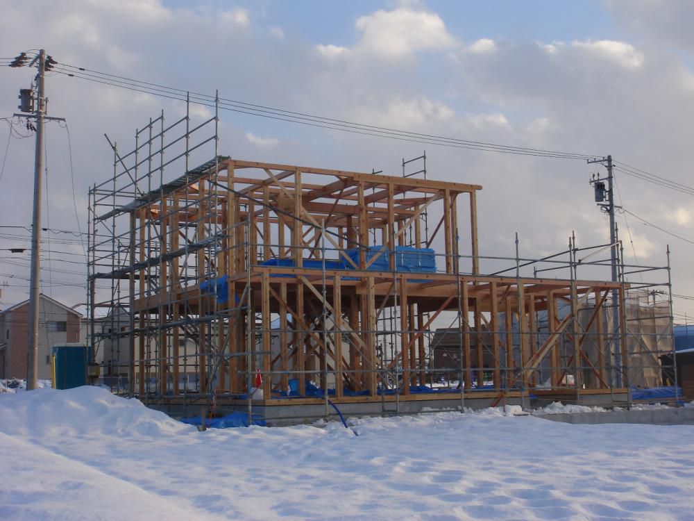 ようやく建ちました。