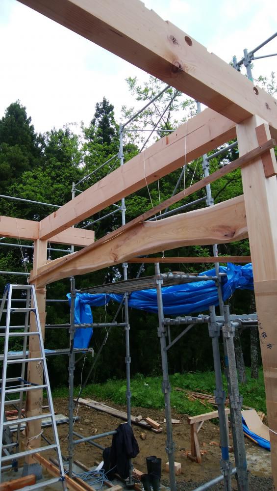 ようやく建ちました。