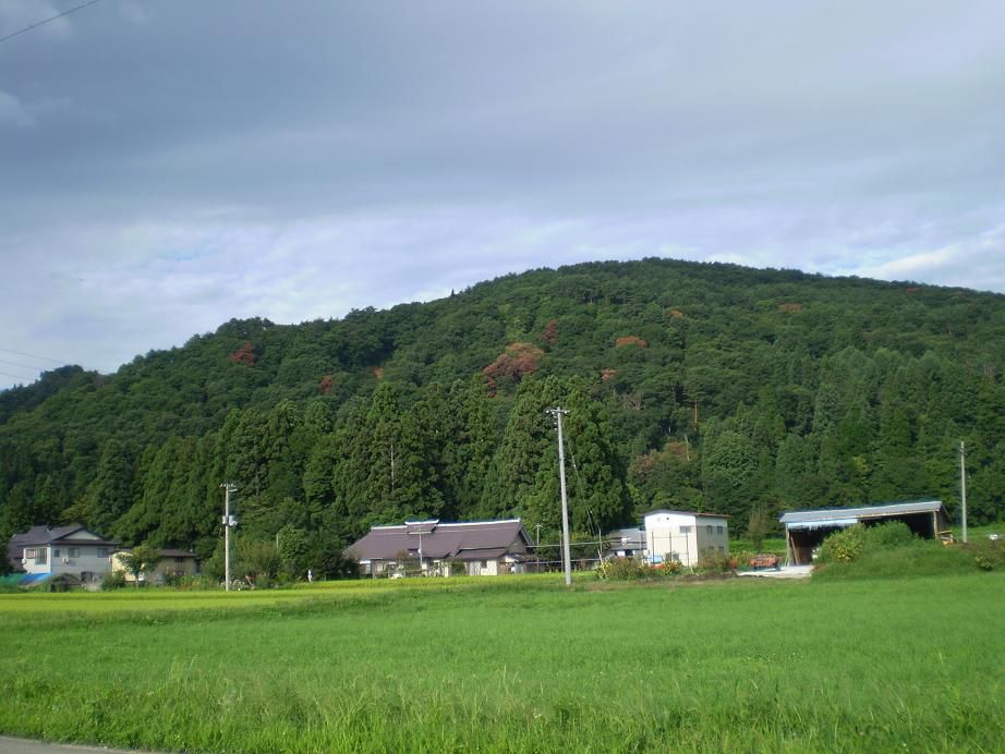 一般質問です
