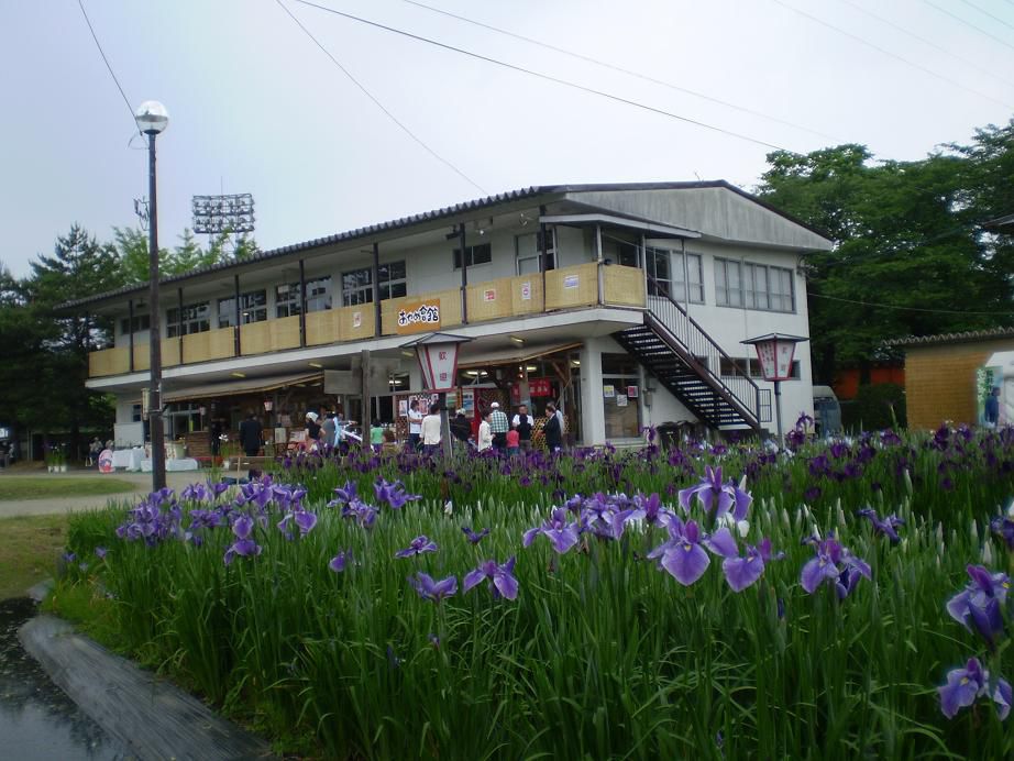 一般質問で登壇