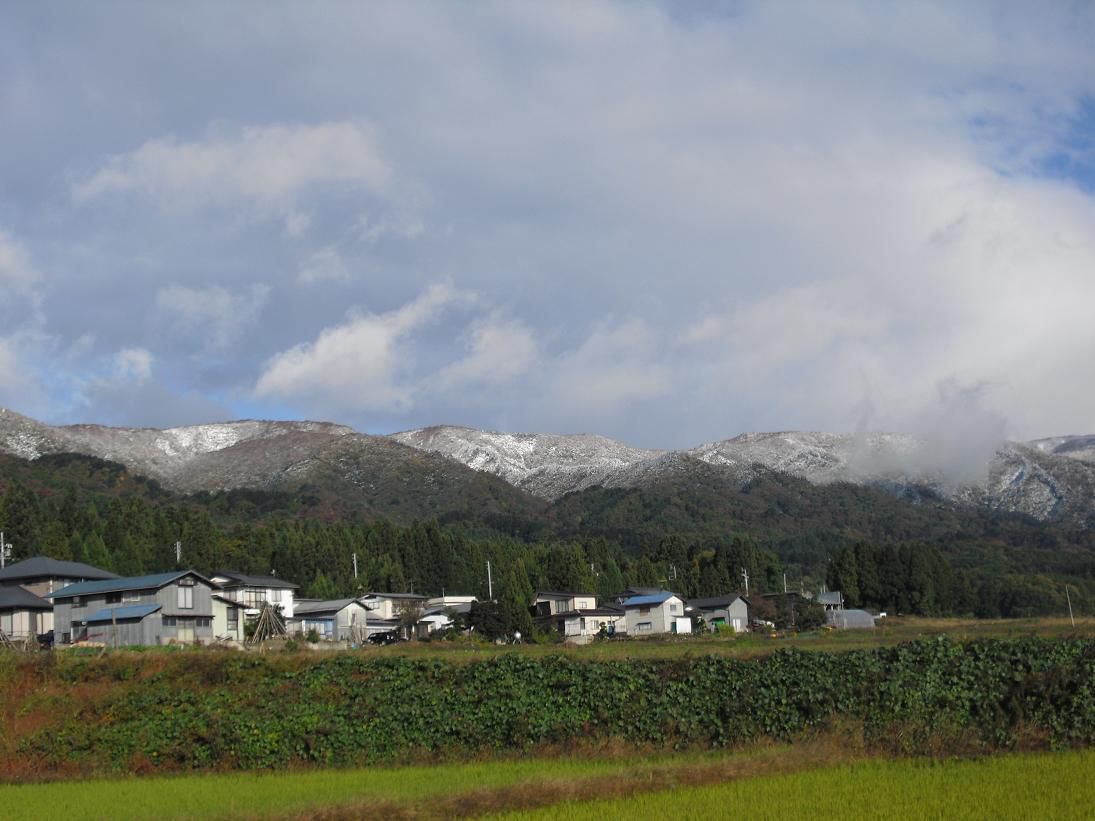 寒くなりました