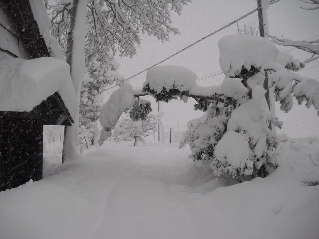 この冬一番の大雪だぁ