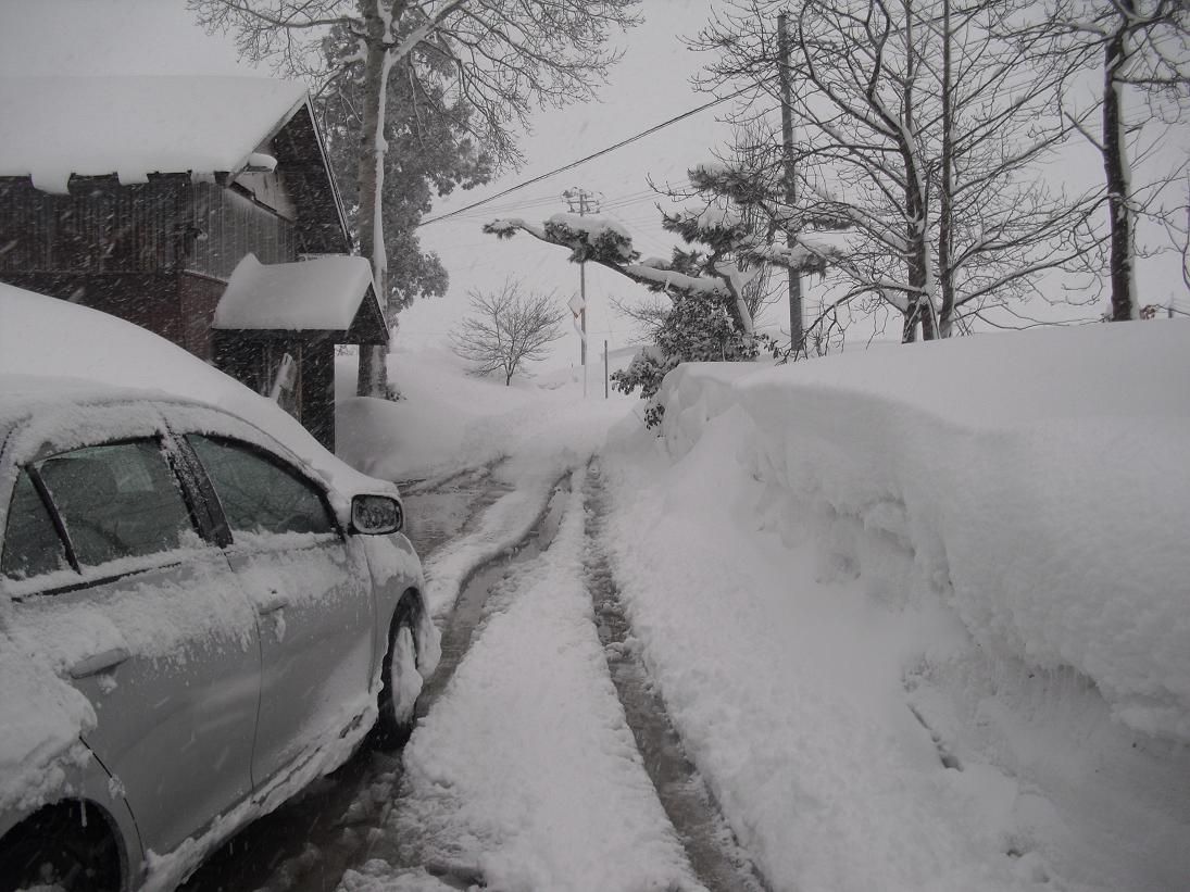 今頃こんなに雪が降る・・ですが