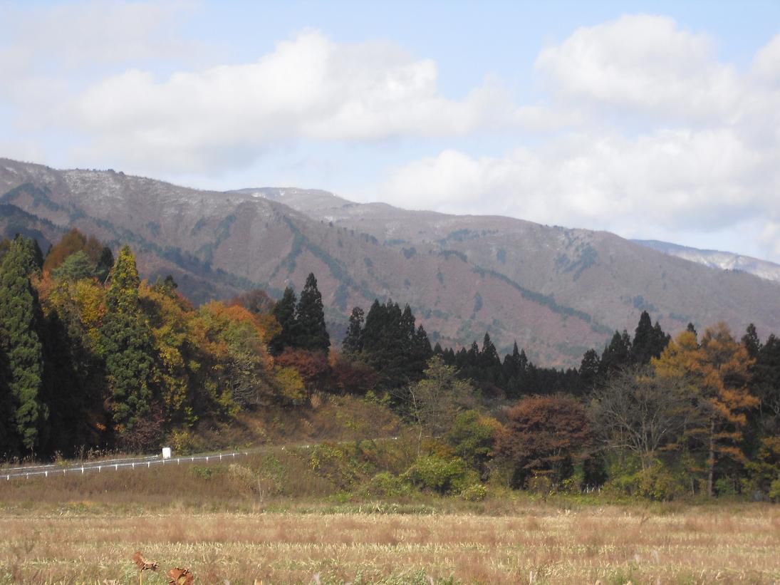 冬・近しという感じ