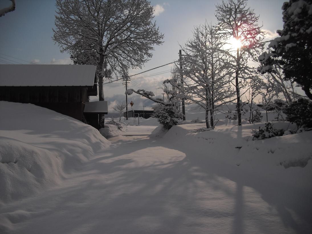 今朝はこんな雪模様です。が、市議会は閉会しました。