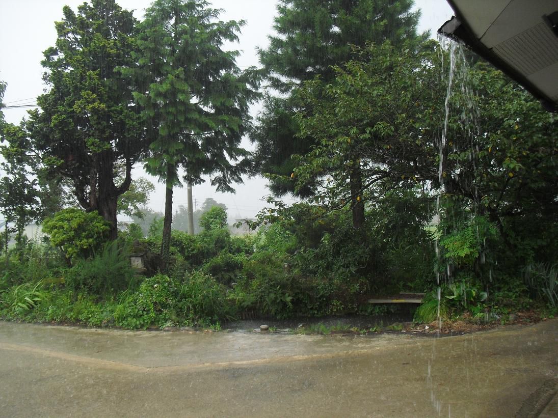 突然の豪雨