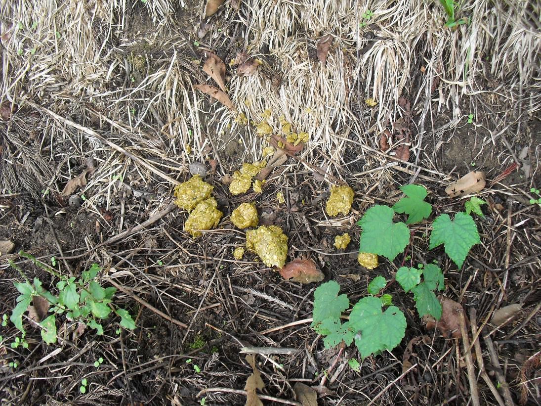 ついでに置土産まで