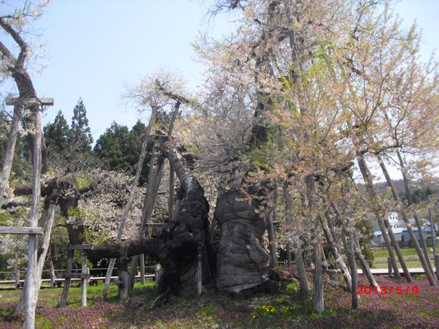 残念ながら痛々しく見えます。