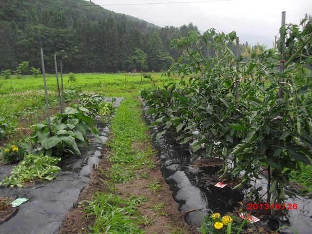 待望の雨とともに6月定例議会閉会