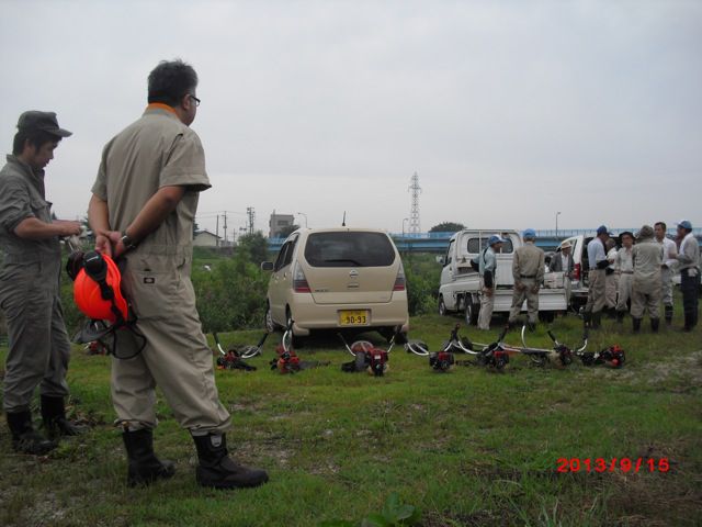 涼しくなって早朝作業