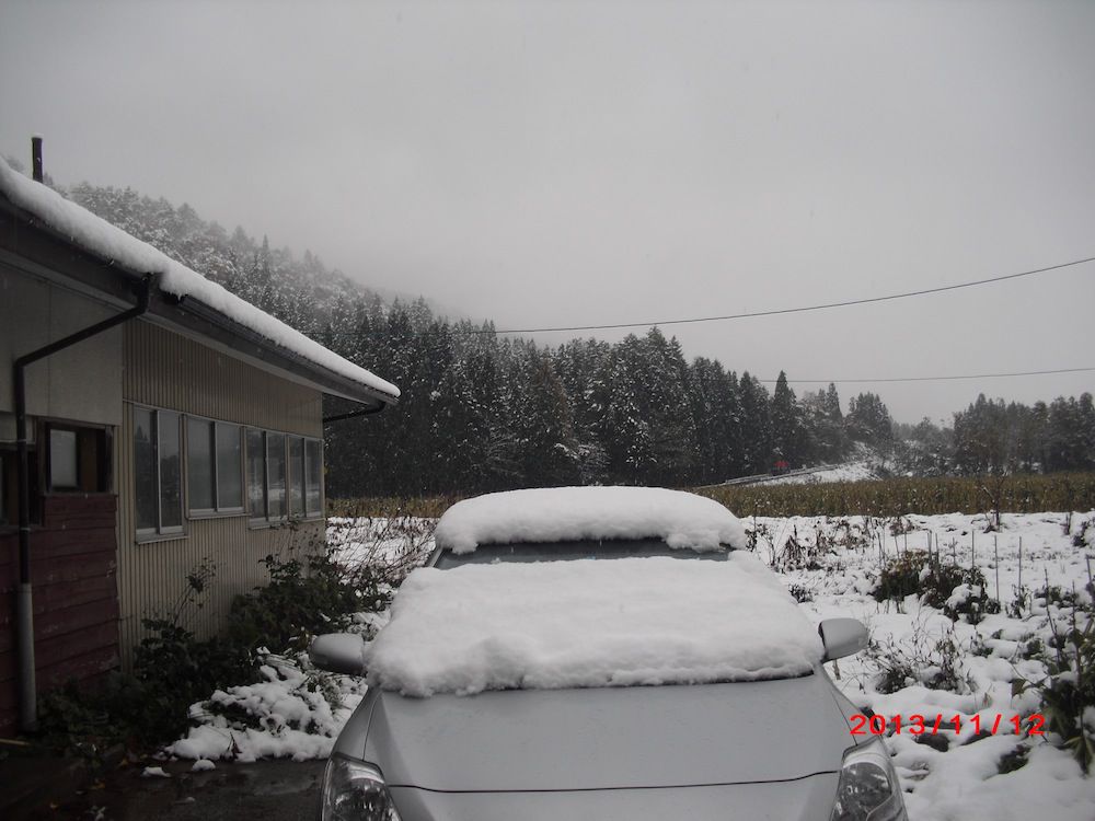 初雪や…です。