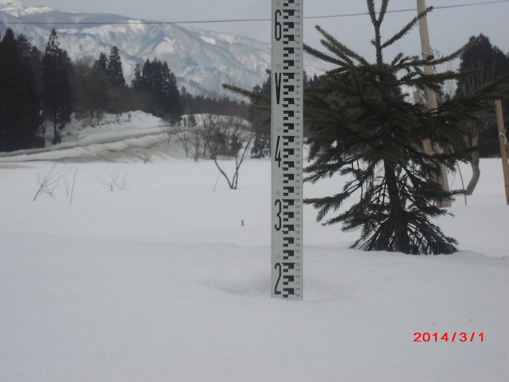 3月上期の予定・すっかり春の陽気に感じて