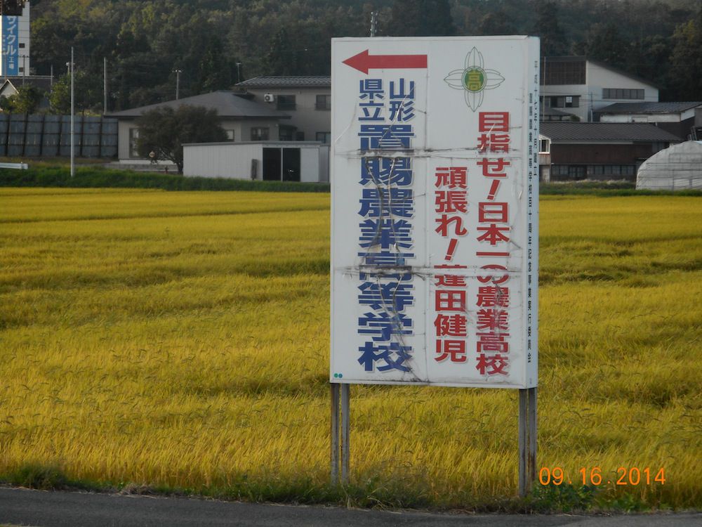 やっぱり修理だね