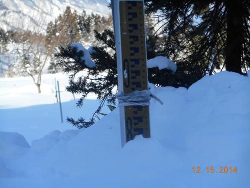 今月下期の予定（今朝も１０日前と同じような積雪です）