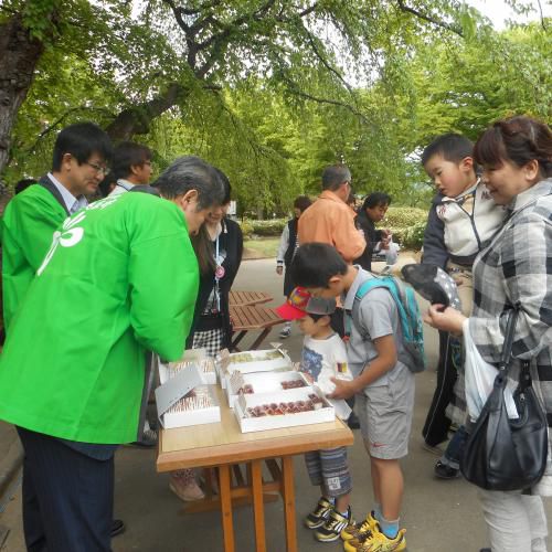 白つつじ祭り開幕