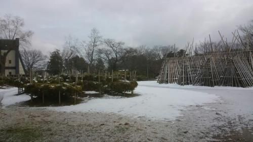 今日のつつじ公園・１月下期の予定