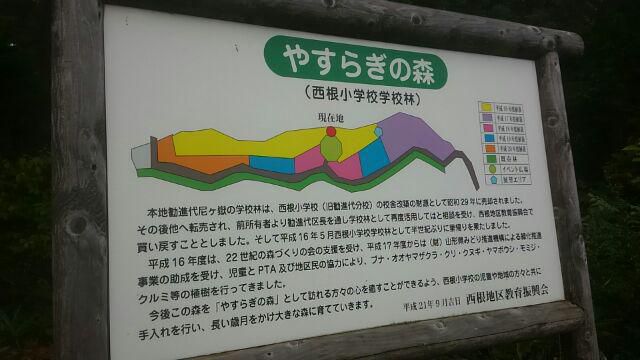 今朝は早起き、学校林の手入れ
