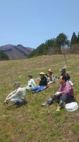 5月下期の予定・古代の丘に花見山をつくろう