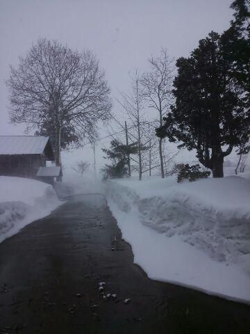 突風と吹雪の置農同窓会入会式