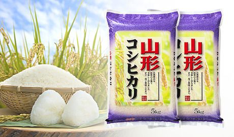 山形県産コシヒカリ
