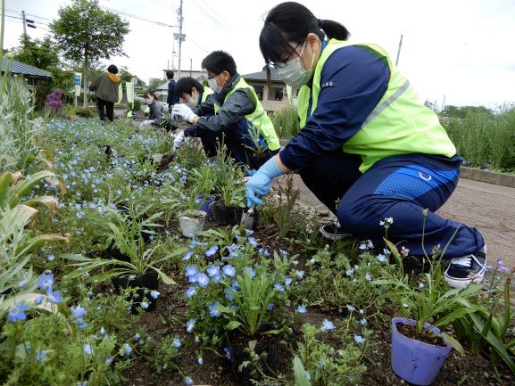 いつか人も蝶もあつまる新名所に〔高畠町高校生ボランティアサークル地球（テラ）〕