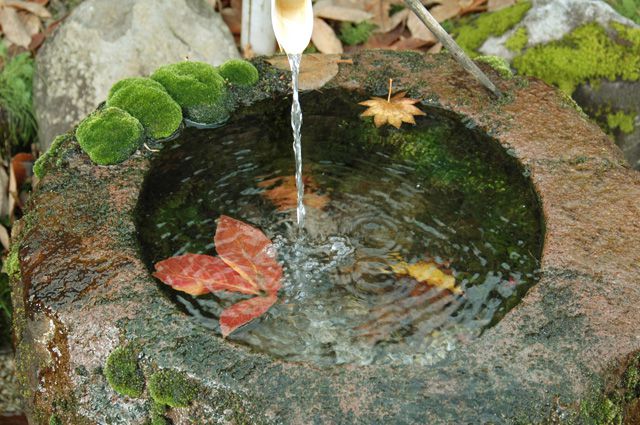 清流庵の《新豆祭》もうすぐです！