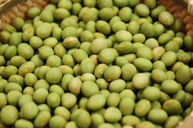 清流庵の《新豆祭》とは？