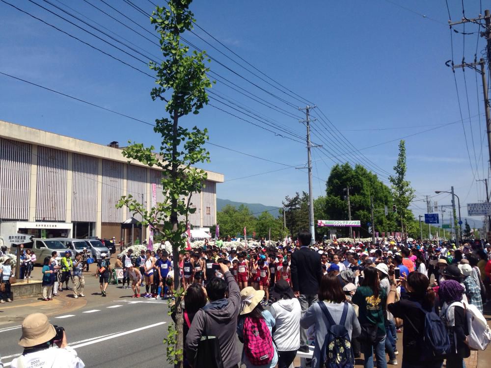 白つつじマラソン in長井市